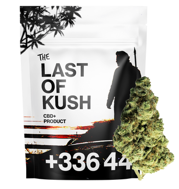 Last of Kush - CBD+ Bluten