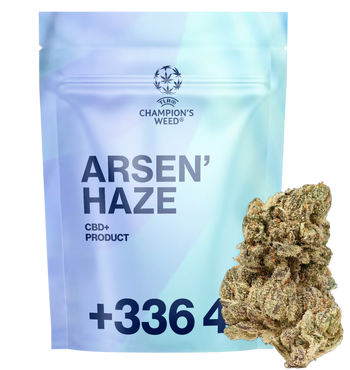 Arsen'haze CBD+