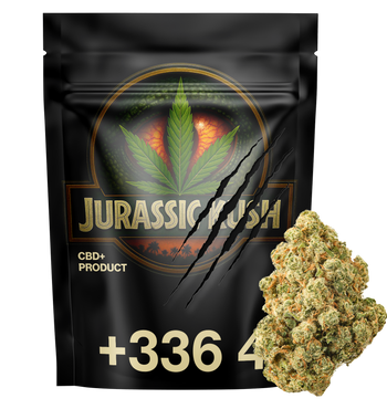Jurassic Kush - CBD+
