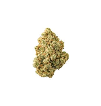 Jurassic Kush - CBD+